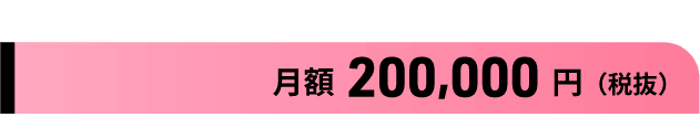 プレミアムプラン:月額 200,000円 (税抜)